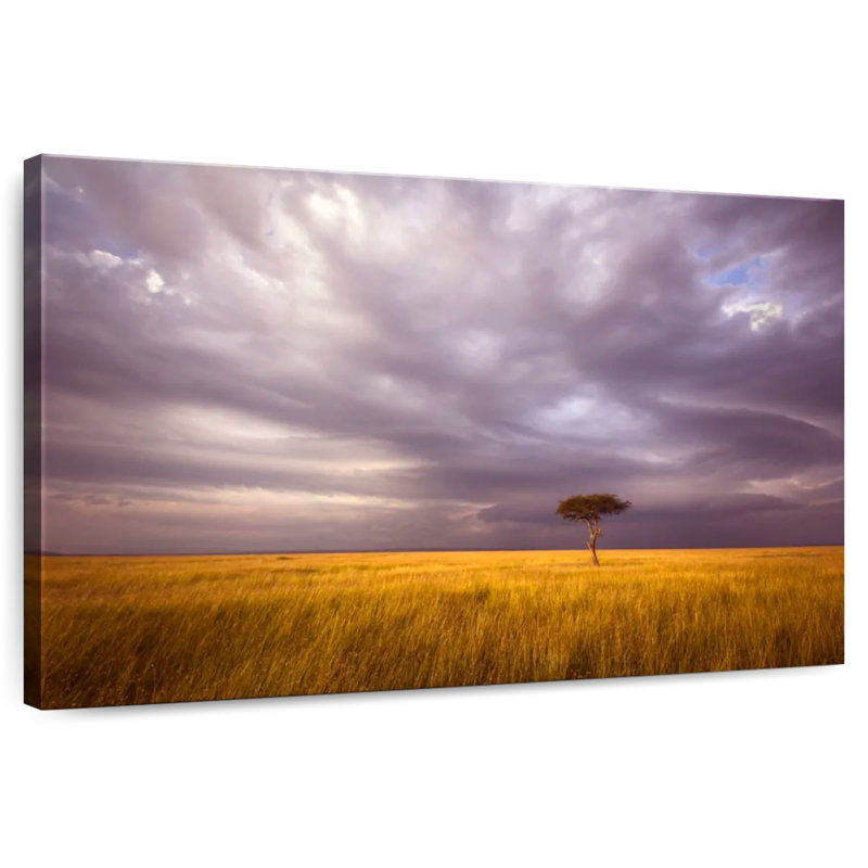 Alvord African Stormy Fields