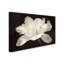 «White Tulip I» par Cora Niele - reproduction de photo sur toile-31355311