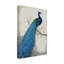 « peacock blue i », reproduction de peinture à l’acrylique sur toile tendue-33425229