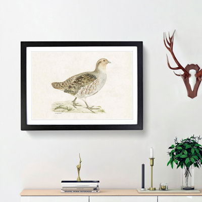 Grey Partridge by Von Wright - Picture Frame Painting Print