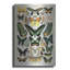 "Papillons 2" par Susan Ball-1633780563