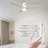 Amoni 52'' Ceiling Fan with LED Lights-1677886505-1677886504