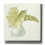 «Plant Big Leaf I» par Chris Paschke, estampe numérique sur toile-1094147291