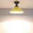 Ionathan Flush Mount-1270259012