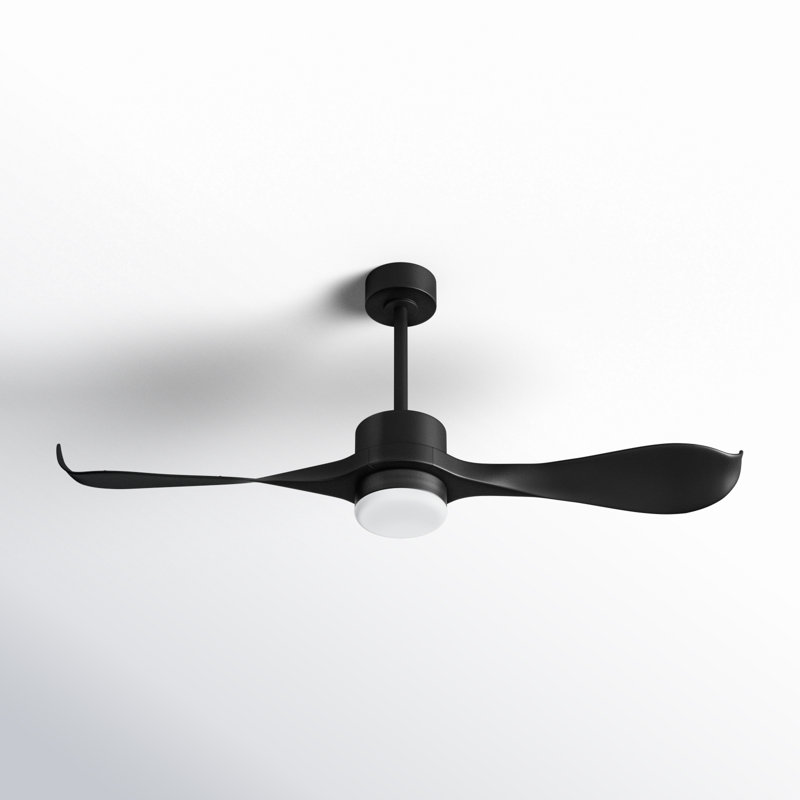 Ventilateur de plafond 52 po à 2 pales DEL 52 po avec télécommande et ensemble d'éclairage inclus Popovich, Noir