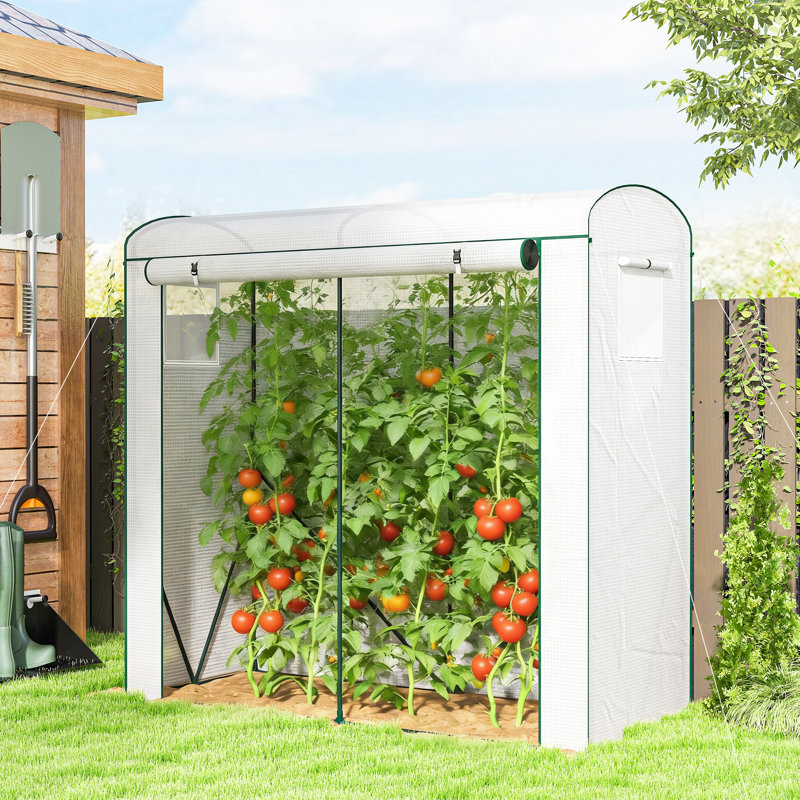 Greenhouse, White