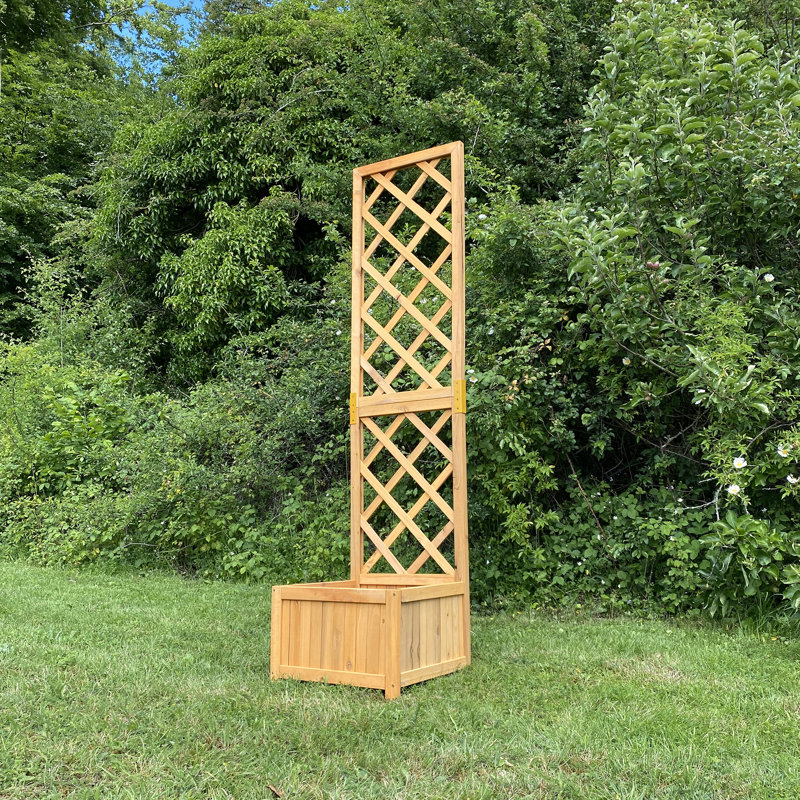Eradu 160cm H x 40cm W Wood