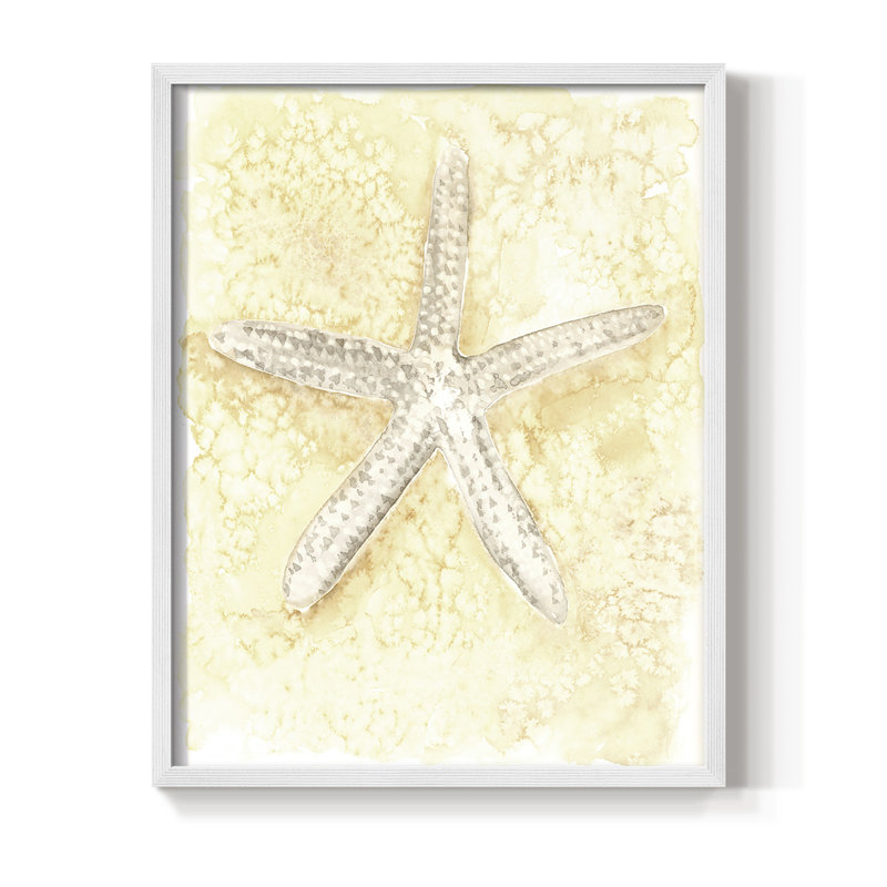 «Salty Seashell I», H 11 po x l 9 po, Blanc