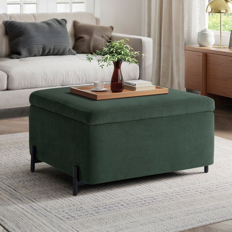 Grand repose-pieds avec rangement 31,1 po Delton, Vert