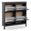 Cynsere 16 Pair Shoe Storage Cabinet-424493732