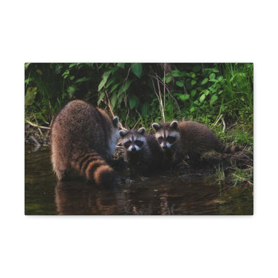 No Frame Print on Canvas