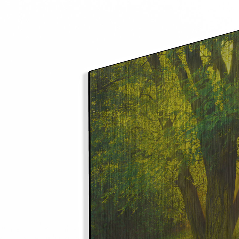 «Summer Love» par Kirk Reinert sur, H 24 po x l 36 po
