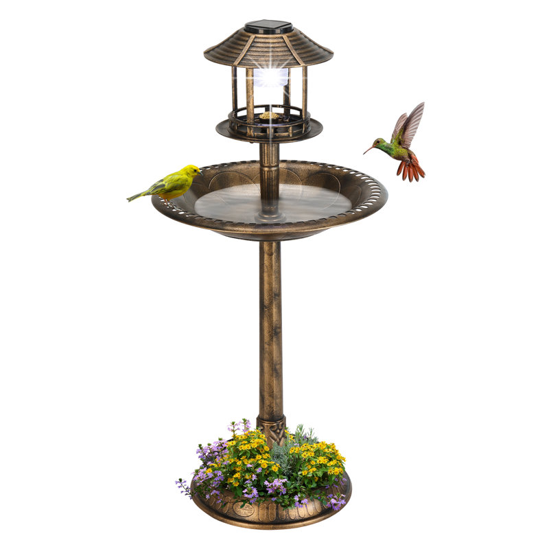 Bain d'oiseaux Hiles en polypropylène avec lumière du soleil, Bronze