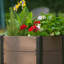 Metal Raised Garden Bed