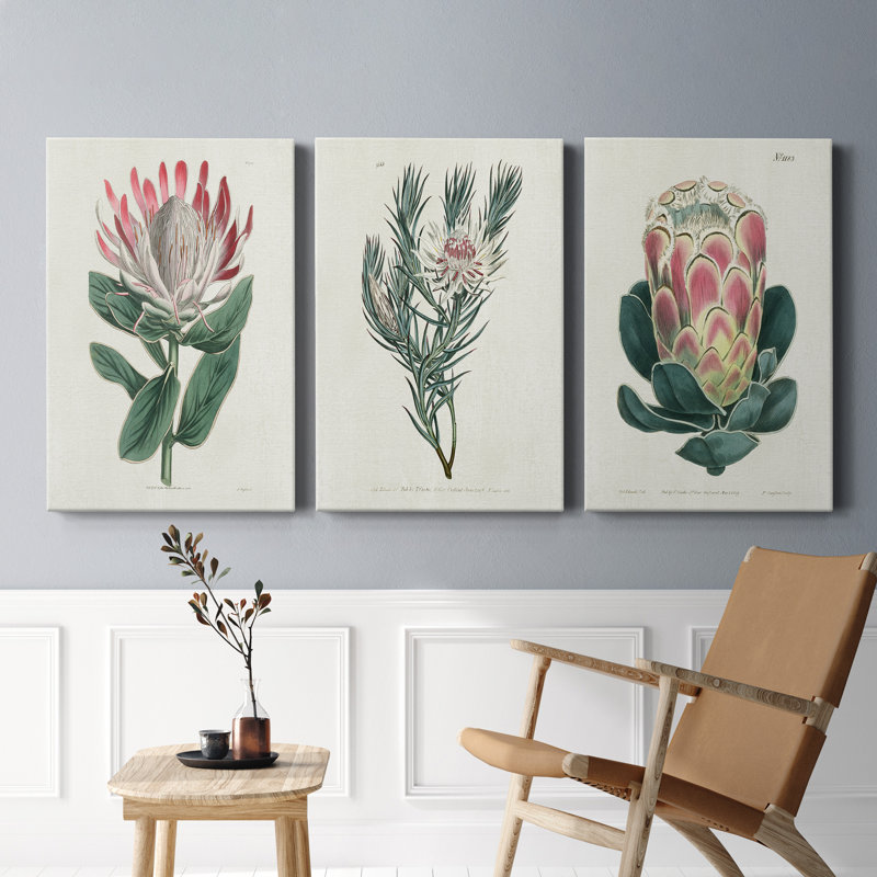 Protea N14 - Premium - Ensemble de 3 reproductions d'art sur toile tendue, H 48 po x l 96 po x P 1 po