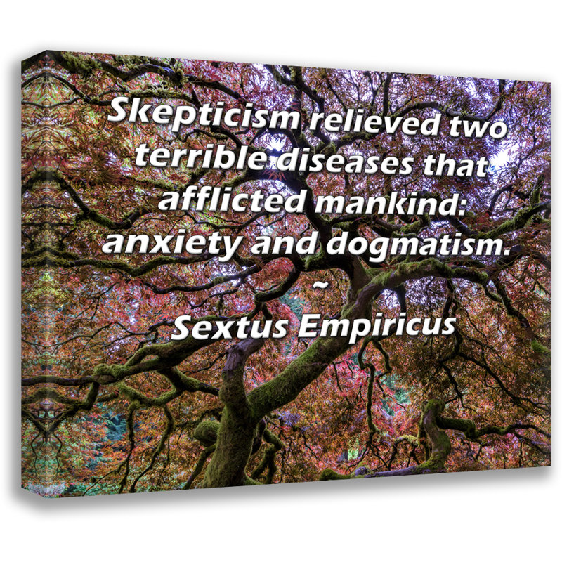 ArtsyQuotes Gallery, toile tendue par Sextus Empiricus: «Le scepticisme a soulagé deux maladies affreuses qui ont affligé l’homme: l’anxiété et le dogmatisme».