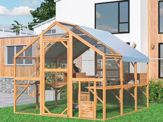 Outdoor catio with cats.