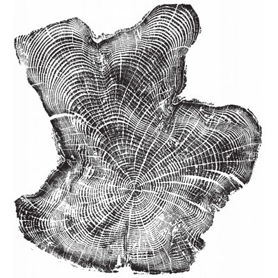 Tillamook Driftwood Print