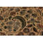 Tapis brun / ivoire en laine noué à la main 8 pi x 10 pi 2 po Roca Oriental