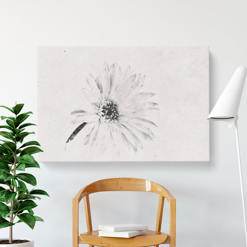 Flower Sketch - Wrapped Canvas, 50cm H x 76cm W x 3cm D