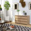 Somone Particle Board Standard Storage Unit Accent Chest
