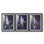 FLORAL Series CCXLI  -Custom Framed  Premium Print W Matt - 3 Pieces-1121272886-1121272884