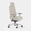 Ergonomic Pro Headrest-498745497