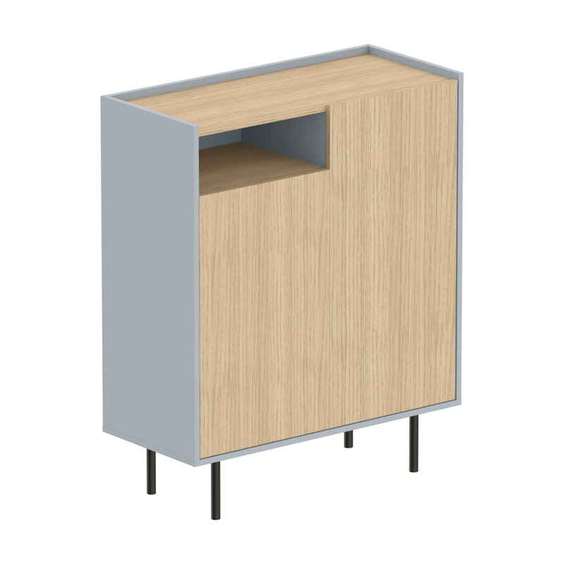 Shaneah 9 Pair Shoe Storage Cabinet