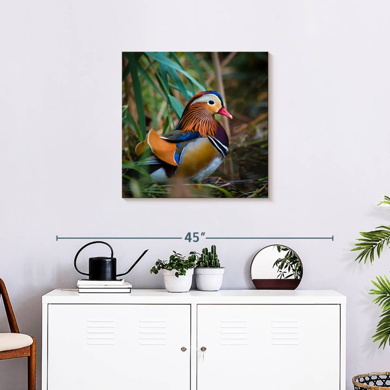 Colorful Mandarin Duck