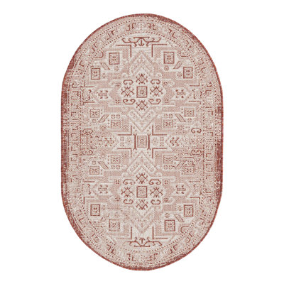 Allexis Indoor / Outdoor Rug