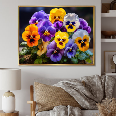 Purple Pansies Vibrant Pansies - Pansies Framed Canvas Print