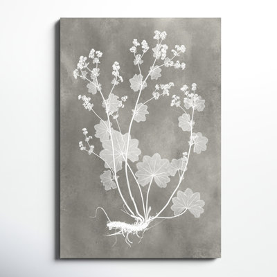 Herbarium Study I, peinture sur toile