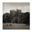 Belvoir Castle Print by Pete Kelly