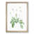 Oak Framed selected