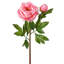 Pivoine de jardin 26 po Just Cut-1830510411-1830107859
