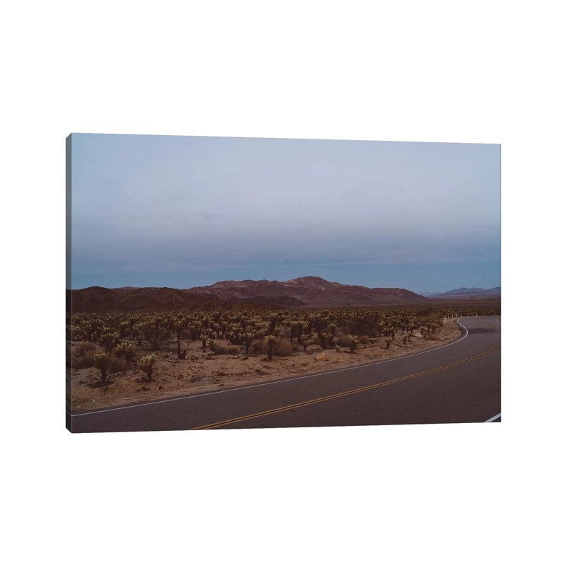 Cholla Cactus Garden XVIII by Bethany Young - Print on Canvas, Wrapped Canvas, 30.48cm H x 45.72cm W x 1.91cm D