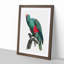 Eclectus Parrot by F. Levaillant - Picture Frame Art Print-55537322-55537325