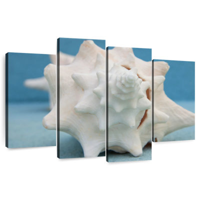 Aletra White Conch Seashell