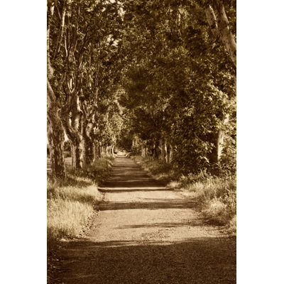 Road To St. Remy by Rachel Perry - Wrapped Canvas Print