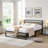 Orleana Queen Metal Platform Bed-998874488