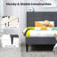 Lit plateforme tapissier Winston Porter-1422474523