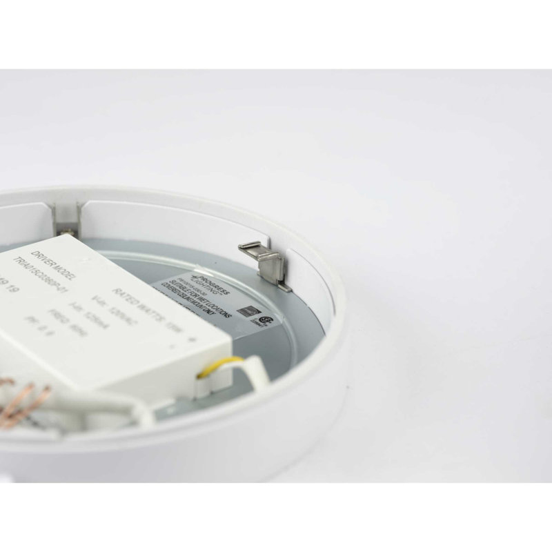 Ingleside Plastic LED Flush Mount