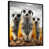 Black Floater Framed
