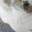Parete Setoso 24" x 47" Porcelain Natural / Floral Wall & Floor Tile-1400952836