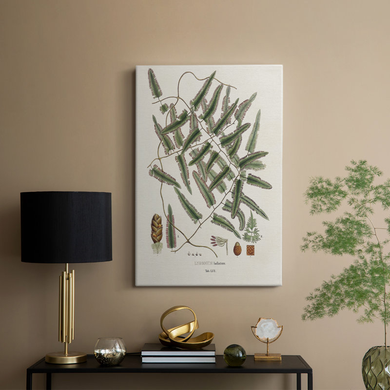Botanical Society Ferns X - Gallery Cavas, H 27 po x l 18 po
