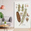 Sapin botanique par Kelly Donovan - Peinture-163513516-139371987