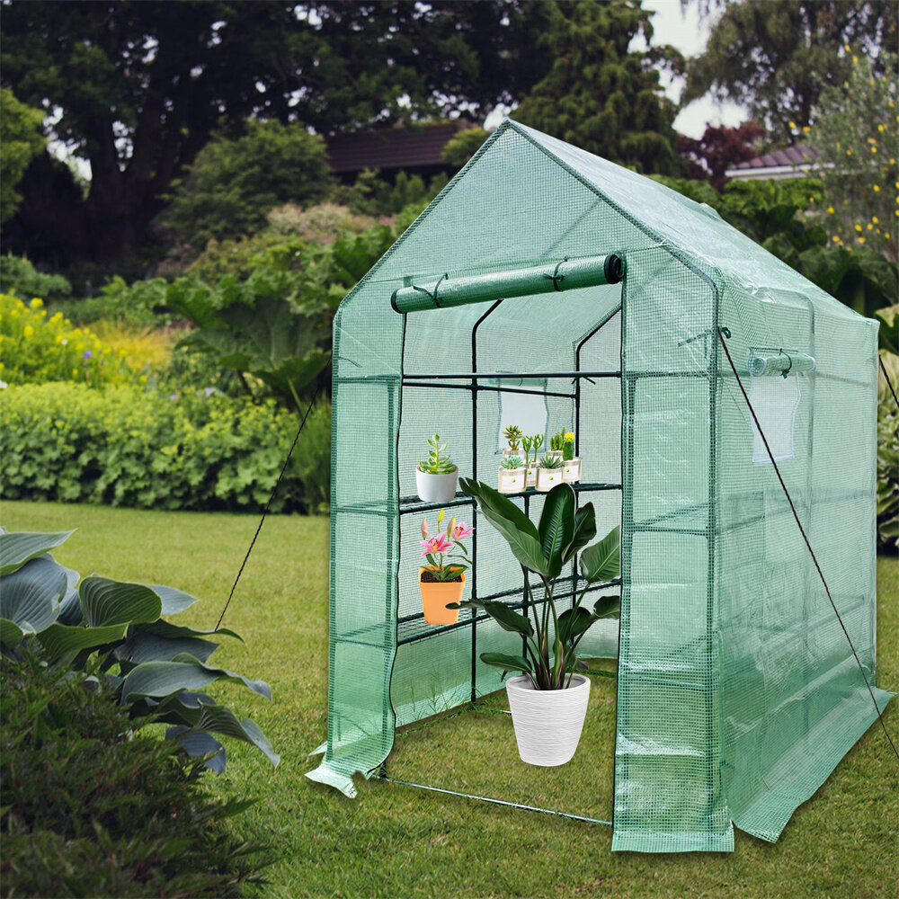 Wayfair  Greenhouse Supplies