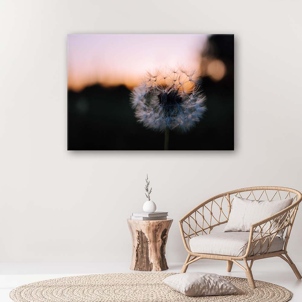 Leinwandbild Dandelions Sunset