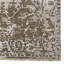Jain Oriental Area Rug in Beige-916963668