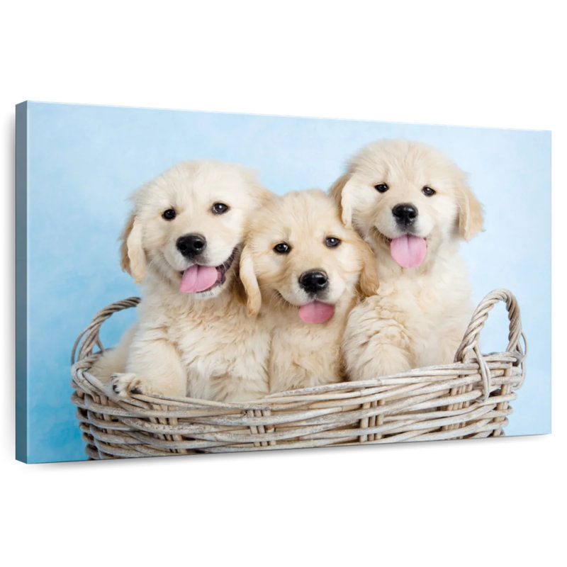 Brampt Buffy Biskit And Beau, 34" H x 51" W